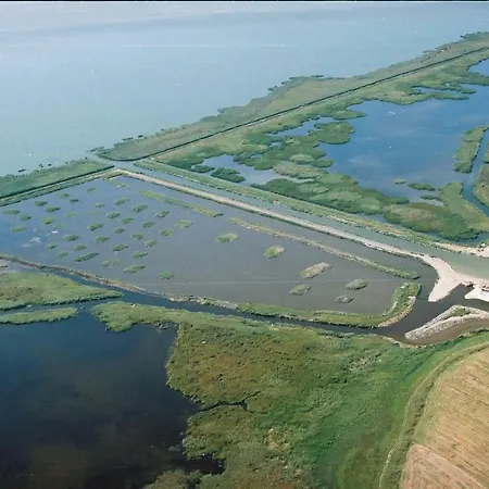 Botel Ponton Plutitor Sageata Apei Lunca (Dobruja)